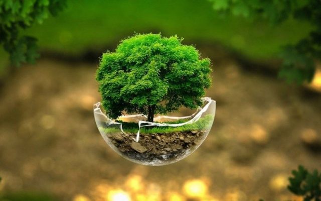 مصاحبه مدیرعامل شرکت توسعه معادن و صنایع معدنی کردستان با روزنامه دنیای اقتصاد- هم چرخ معدن بچرخد، هم چرخ محیط زیست