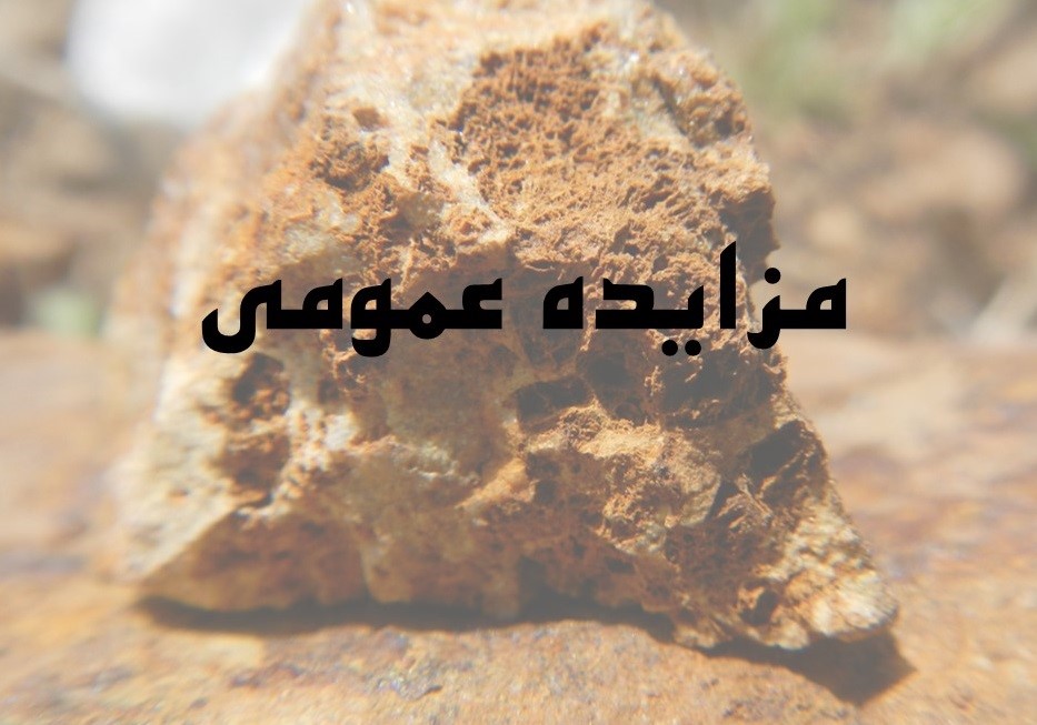 مزایده عمومی
