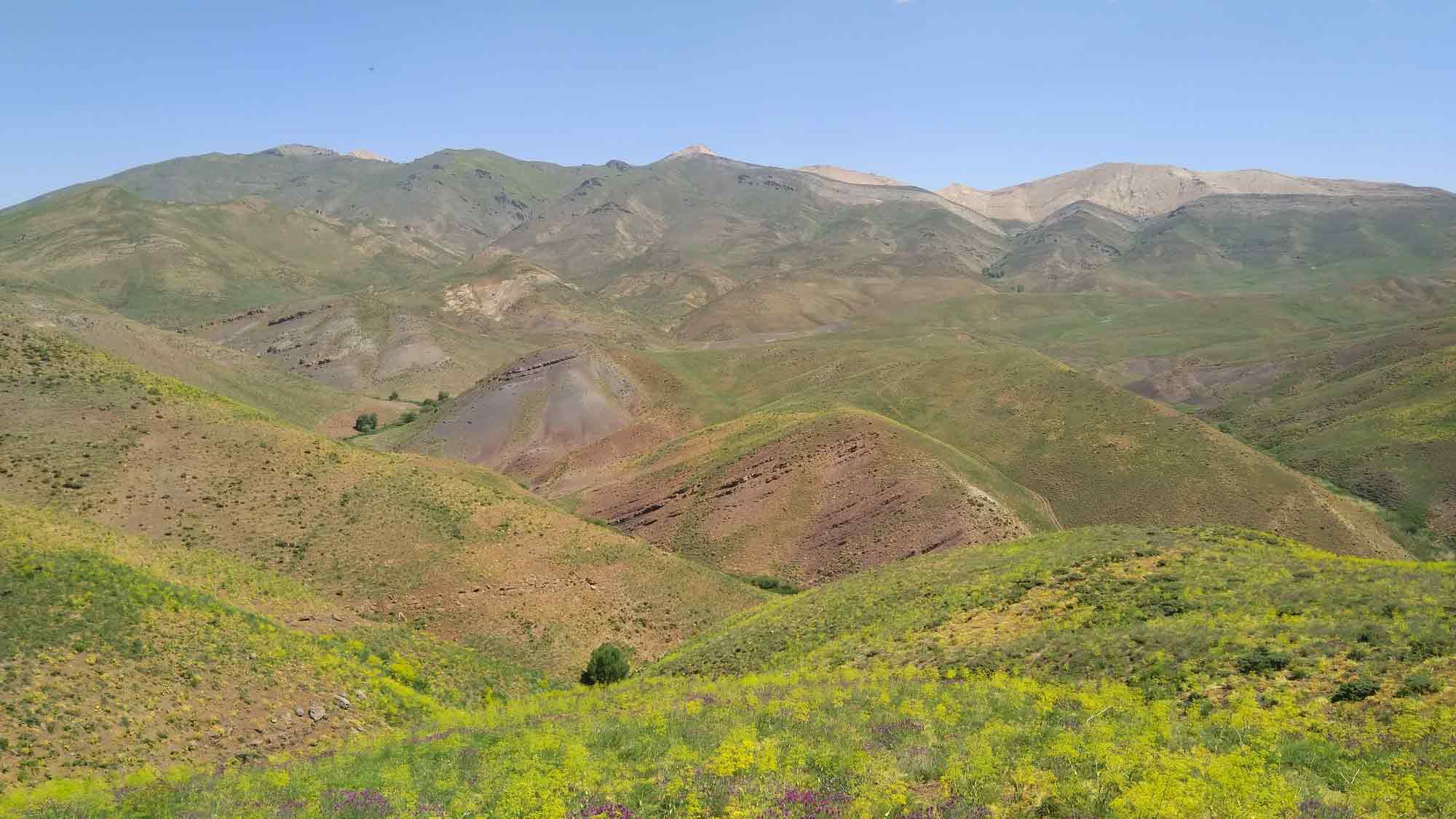 شرکت توسعه معادن و صنایع معدنی کردستان کومیدکو